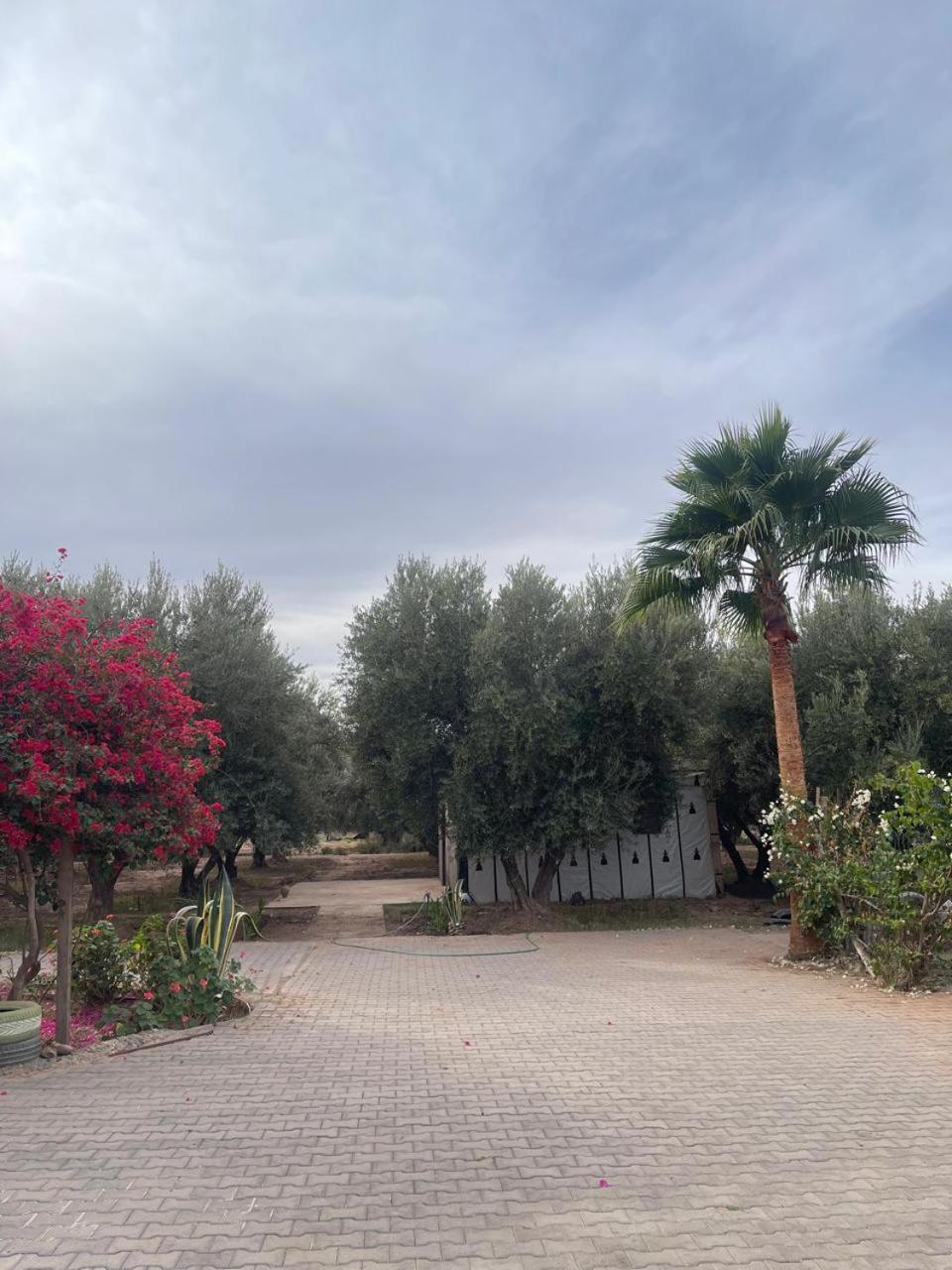 Riad Oussari Марракеш Экстерьер фото